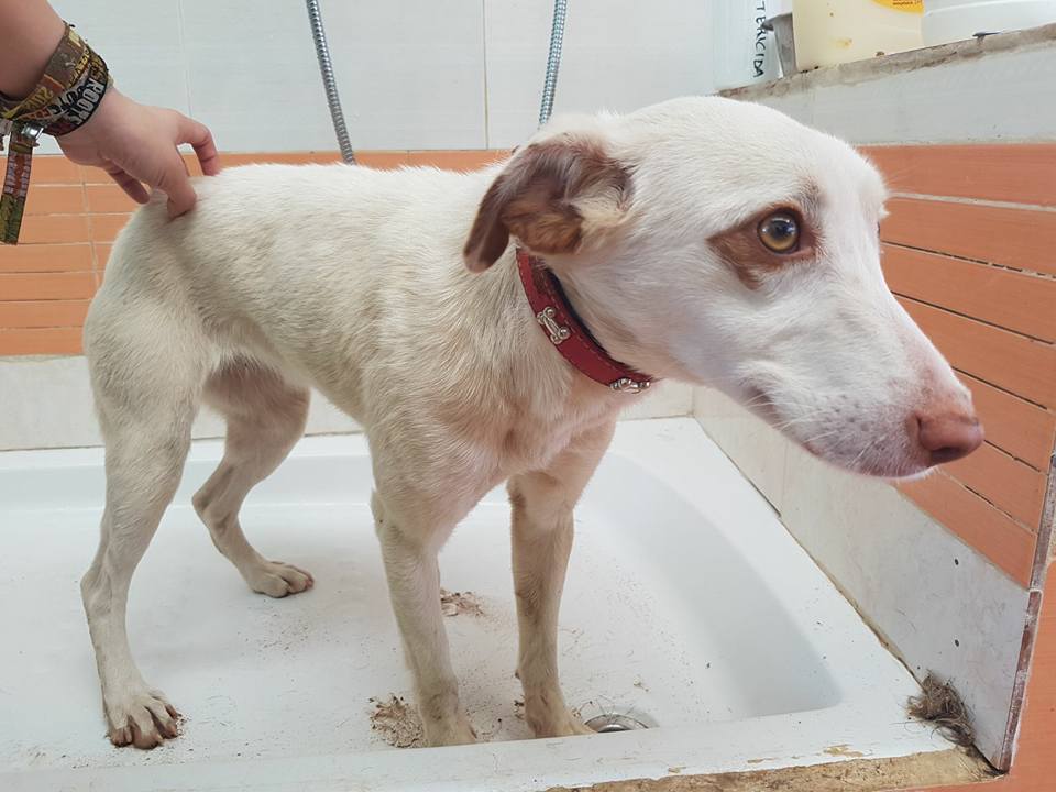 29573045_1895856197104818_3577562455747621780_n