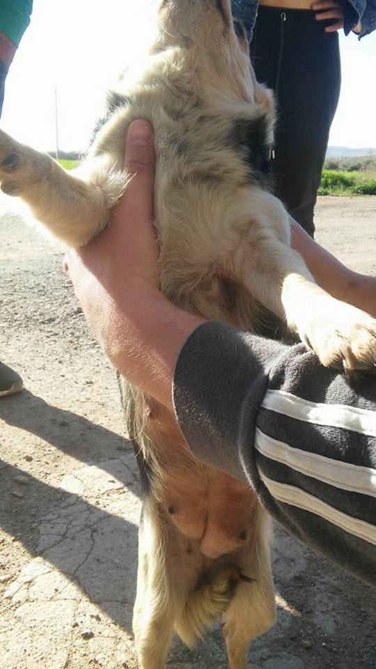 29594545_1895844460439325_851604812326811944_n