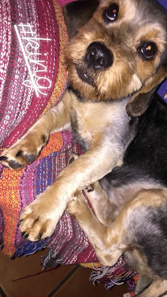 29595168_1897928526897585_4669306886373476493_n