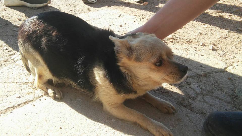 29595243_1895844427105995_5805336988453867609_n