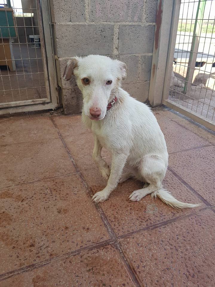 29694709_1895856297104808_2030108987956119696_n