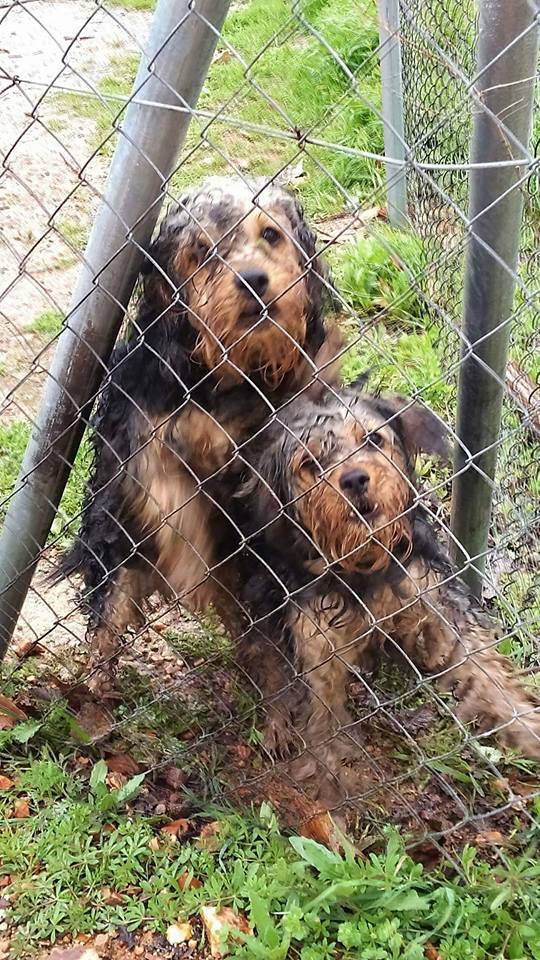 29791589_1897928620230909_7865956349326111996_n