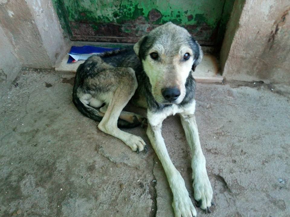 30265283_1903080299715741_5326570461419536384_n