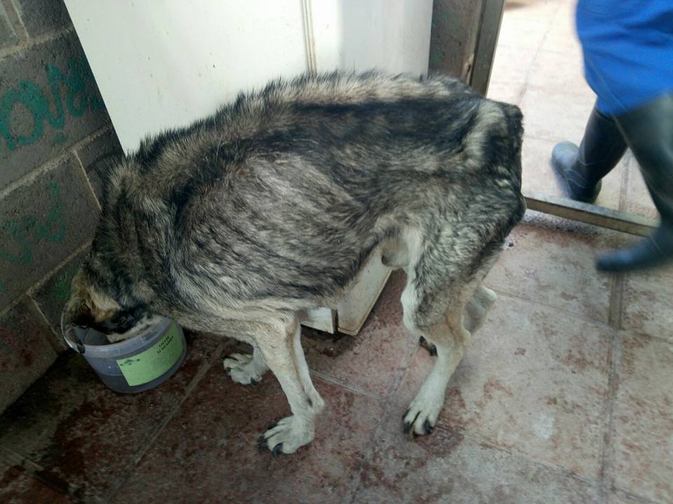 30411649_1903080326382405_4813463328590397440_n