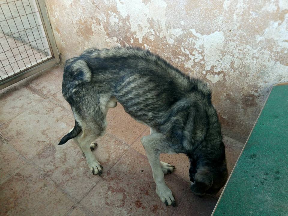 30411724_1903080196382418_1825485749340864512_n