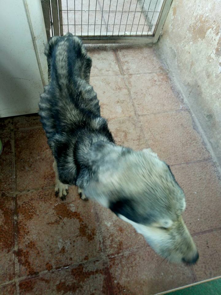 30412241_1903080379715733_1958987124040531968_n