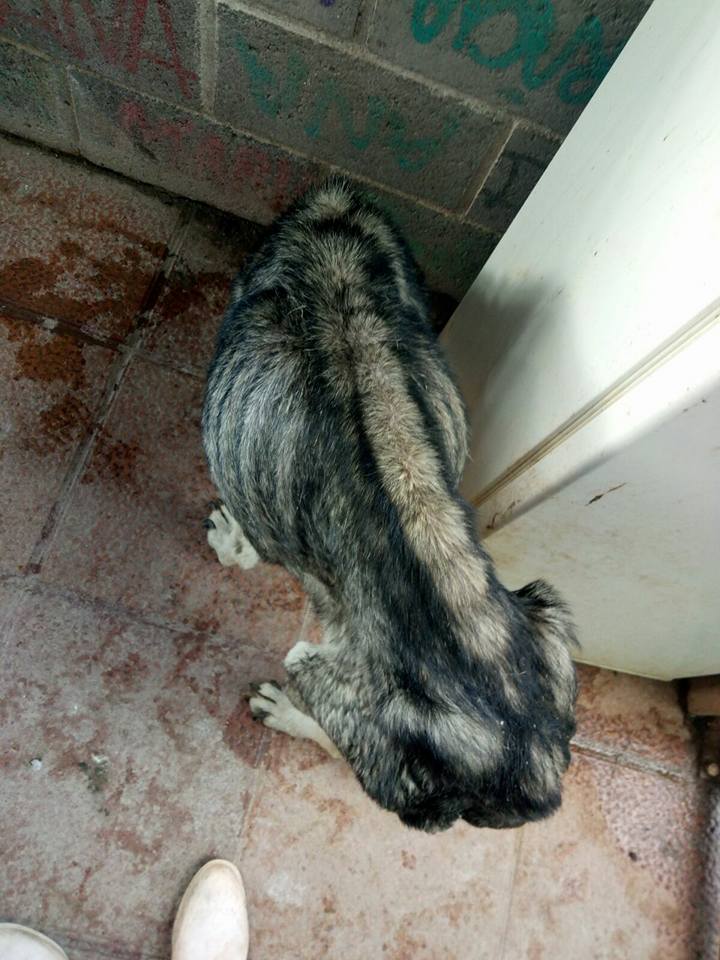 30412553_1903080416382396_8725966952272494592_n