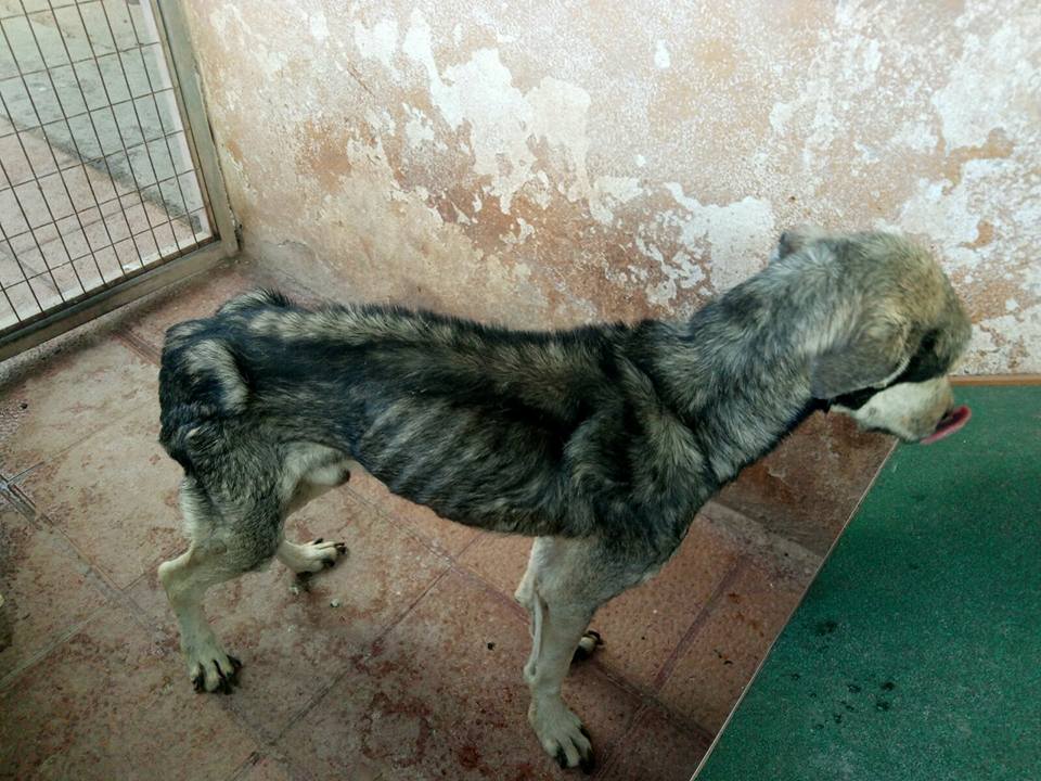 30415148_1903080563049048_4729004892658597888_n