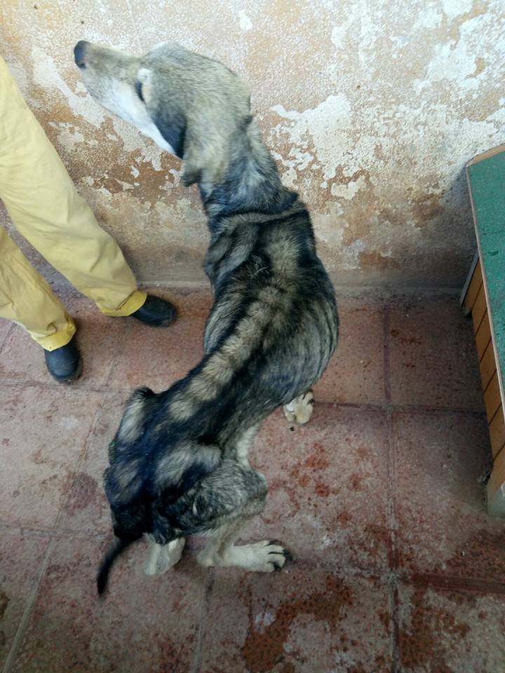 30516003_1903080513049053_8517371926987931648_n