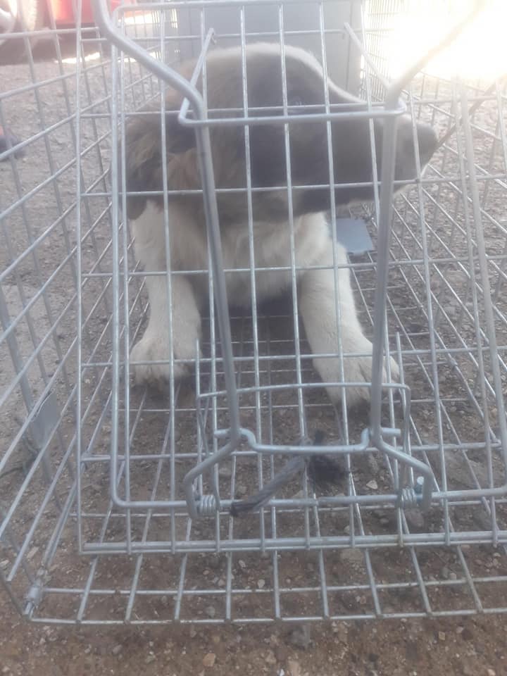 30741075_1913608018662969_3244685214730944512_n