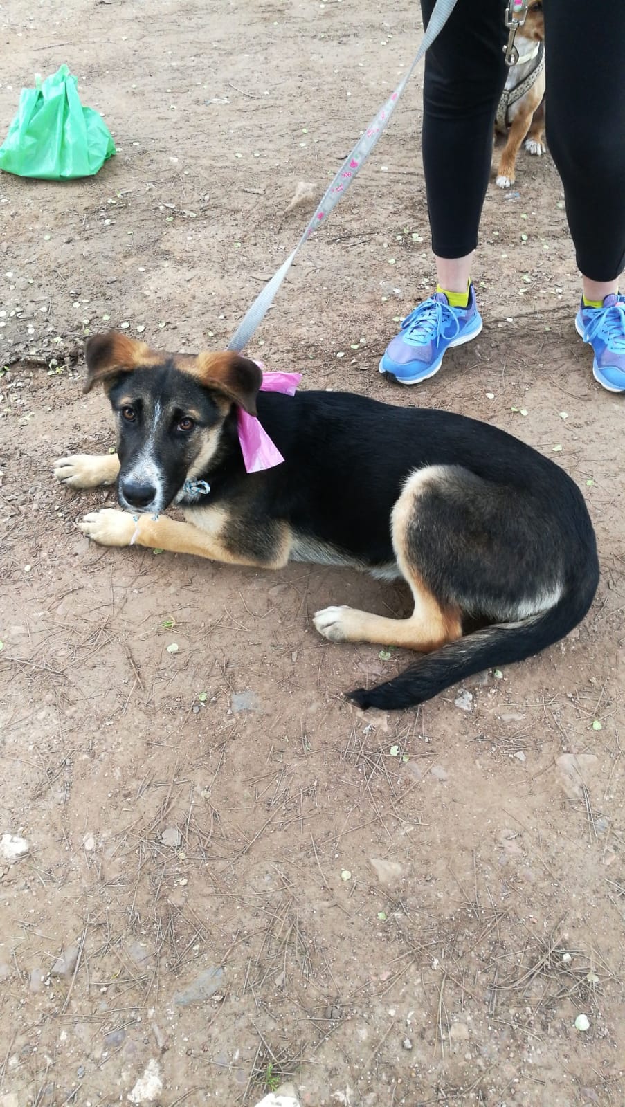 31143668_1917751834915254_6671925892664524800_o