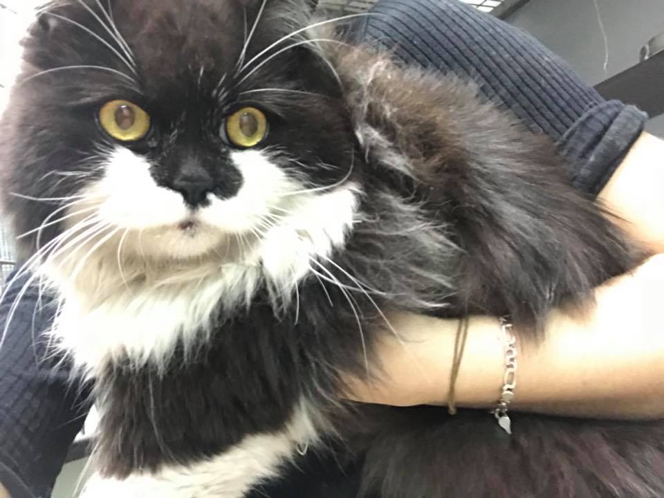 31206469_225694951514626_7835773825994503677_n