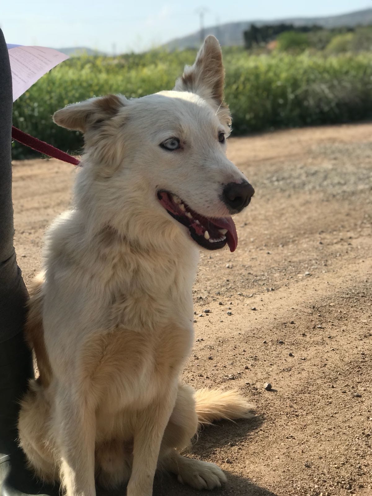 31408432_1921915084498929_6176759190418096128_o