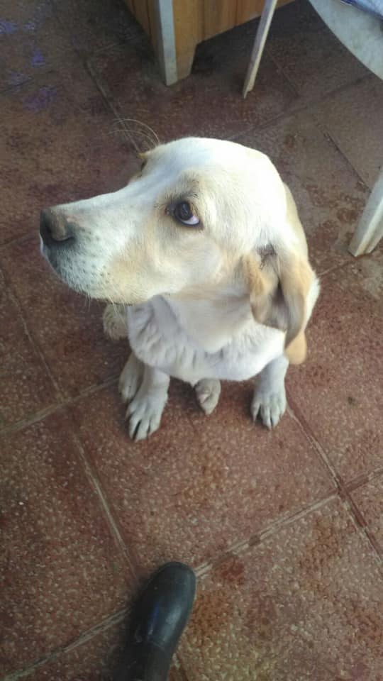 31444978_1921974861159618_8872283916677939200_n