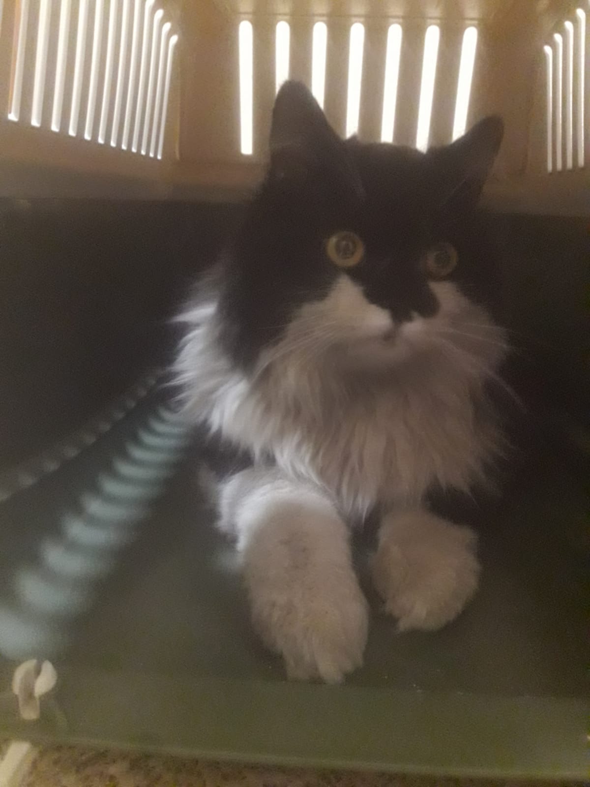 WhatsApp Image 2018-04-24 at 18.48.13